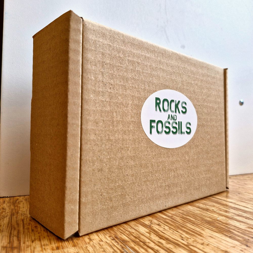 Rocks and Fossils Gift Box