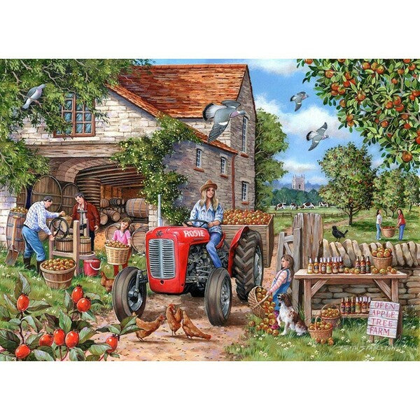 HOP Cider & Rosie Big 500pc