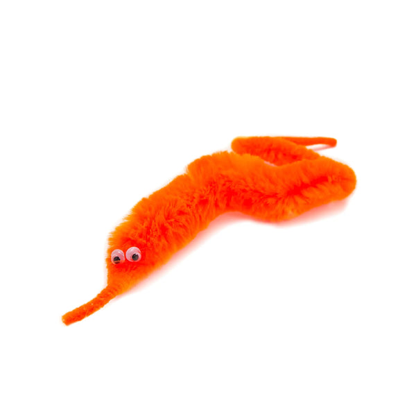 Wriggly Woolly Worm!