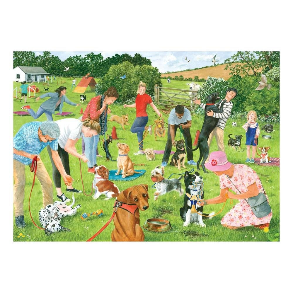 Image of the House of Puzzles 500 piece jigsaw puzzle Puppy School, depicting a scene of people and dogs in a field