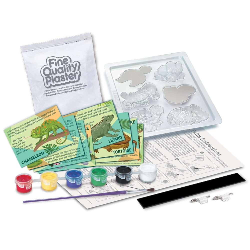 Plaster casting kit with animal molds, plasters, and paint supplies on a white background