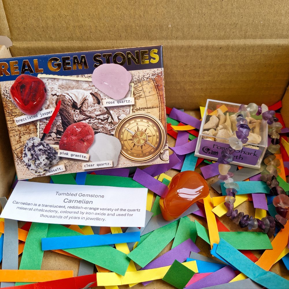 Rocks and Fossils Gift Box