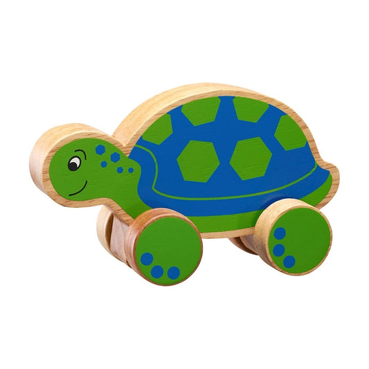 Push Along Turtle