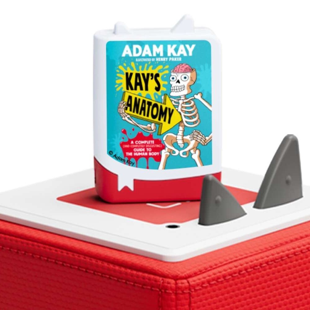 Pocket Tonie Kay's Anatomy